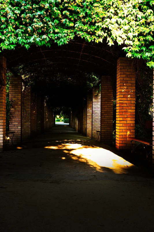 Licht im Laubengang