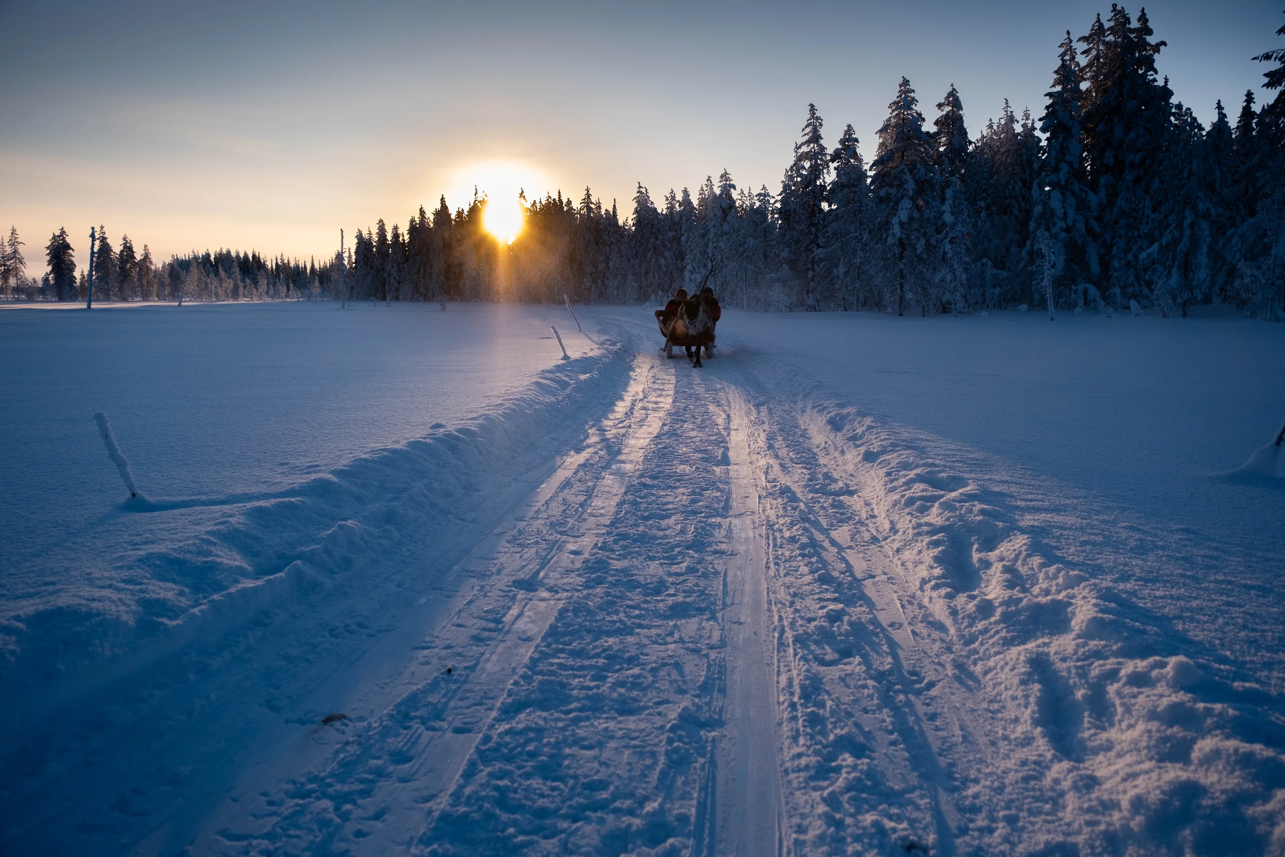 Schlittenfahrt im Winterlicht