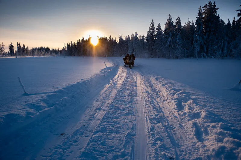 Schlittenfahrt im Winterlicht